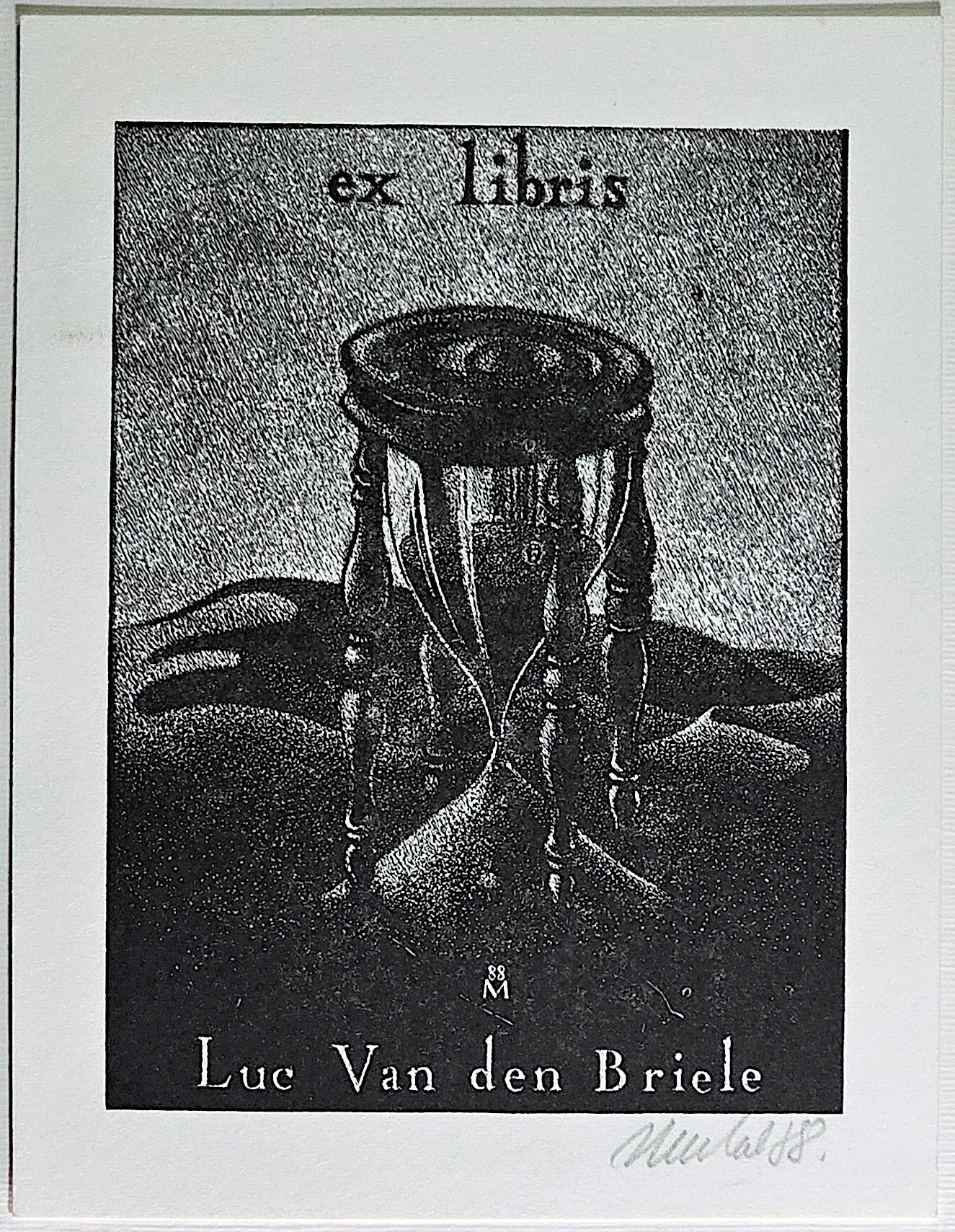Luc Van den Briele, zdjęcie 1 z 3